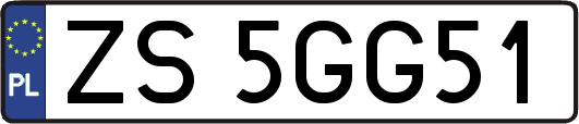ZS5GG51