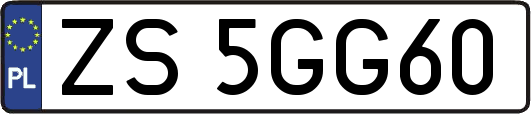 ZS5GG60