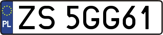 ZS5GG61