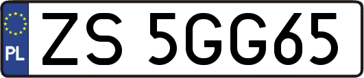 ZS5GG65