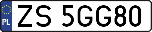 ZS5GG80