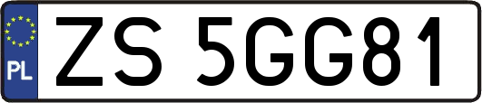 ZS5GG81