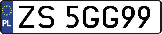 ZS5GG99