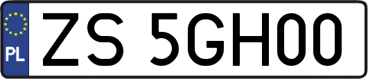 ZS5GH00