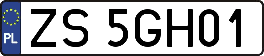 ZS5GH01