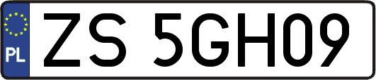 ZS5GH09