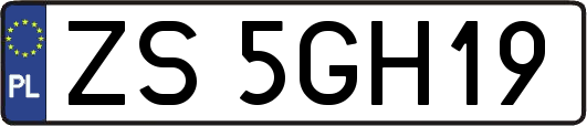 ZS5GH19