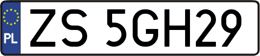 ZS5GH29