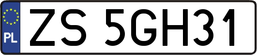 ZS5GH31