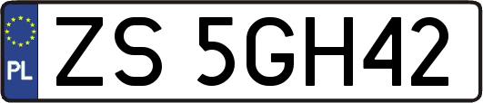 ZS5GH42