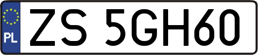ZS5GH60