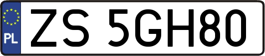 ZS5GH80