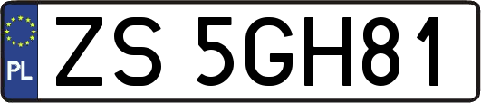 ZS5GH81