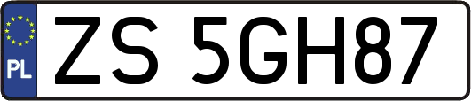 ZS5GH87