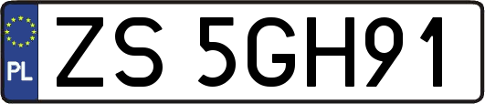 ZS5GH91
