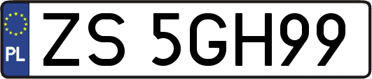 ZS5GH99