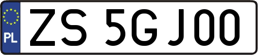 ZS5GJ00