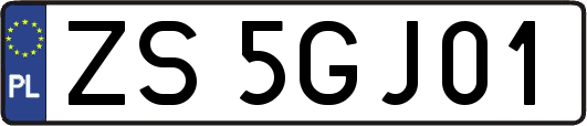 ZS5GJ01