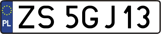 ZS5GJ13