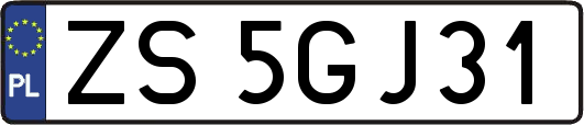 ZS5GJ31