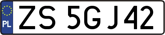 ZS5GJ42