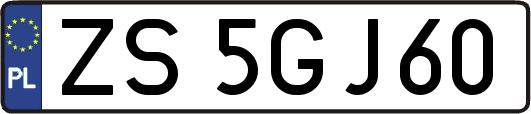 ZS5GJ60