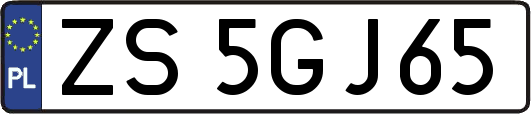 ZS5GJ65