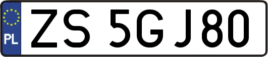 ZS5GJ80