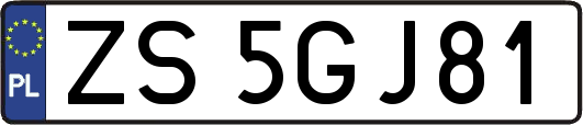 ZS5GJ81