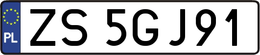 ZS5GJ91