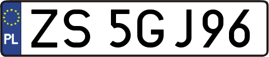 ZS5GJ96
