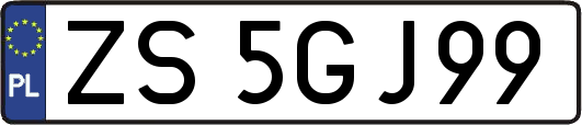 ZS5GJ99