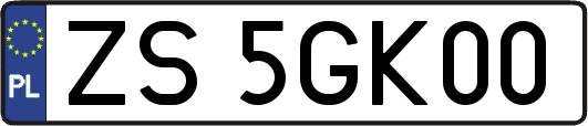 ZS5GK00