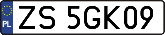 ZS5GK09