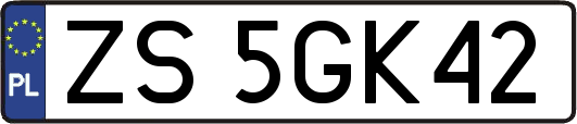 ZS5GK42
