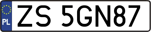 ZS5GN87