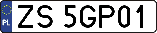 ZS5GP01