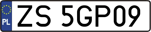 ZS5GP09