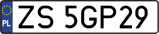 ZS5GP29