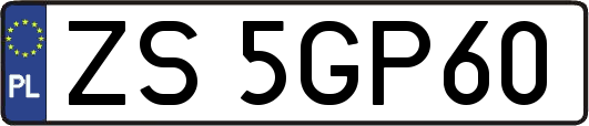 ZS5GP60