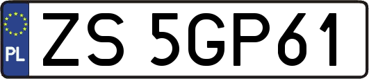 ZS5GP61