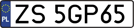 ZS5GP65