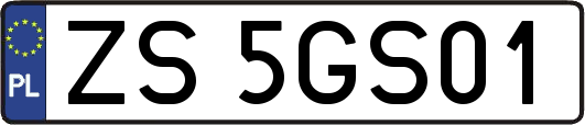 ZS5GS01