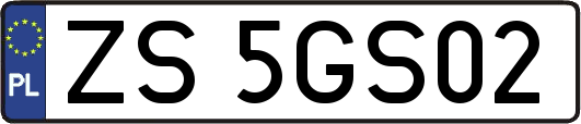 ZS5GS02