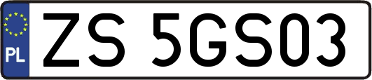 ZS5GS03