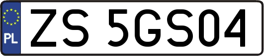 ZS5GS04