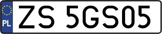 ZS5GS05