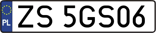 ZS5GS06