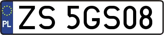 ZS5GS08