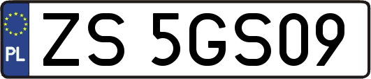 ZS5GS09